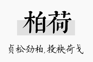 柏荷名字的寓意及含义