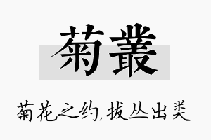 菊丛名字的寓意及含义