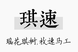 琪速名字的寓意及含义