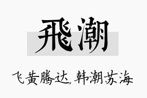 飞潮名字的寓意及含义