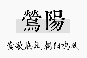 莺阳名字的寓意及含义