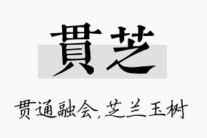 贯芝名字的寓意及含义