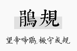 鹃规名字的寓意及含义