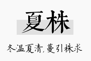 夏株名字的寓意及含义