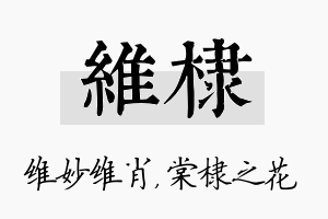 维棣名字的寓意及含义