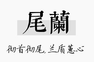 尾兰名字的寓意及含义