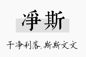 净斯名字的寓意及含义