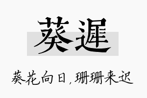 葵迟名字的寓意及含义