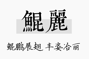 鲲丽名字的寓意及含义