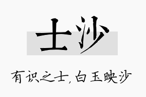 士沙名字的寓意及含义