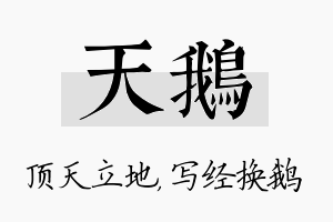 天鹅名字的寓意及含义