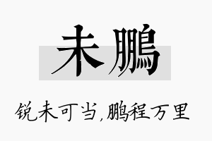 未鹏名字的寓意及含义