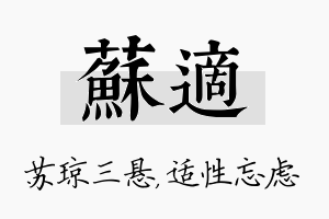 苏适名字的寓意及含义