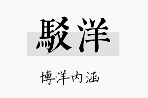 驳洋名字的寓意及含义