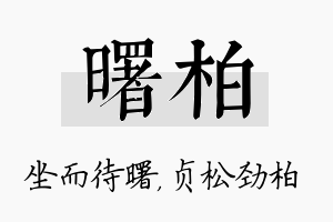 曙柏名字的寓意及含义