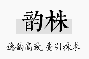 韵株名字的寓意及含义