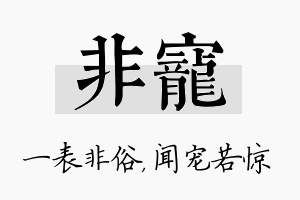 非宠名字的寓意及含义