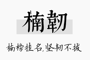 楠韧名字的寓意及含义