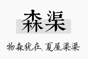 森渠名字的寓意及含义