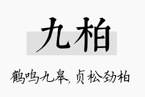 九柏名字的寓意及含义