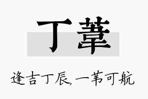 丁苇名字的寓意及含义