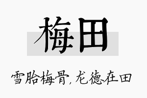 梅田名字的寓意及含义