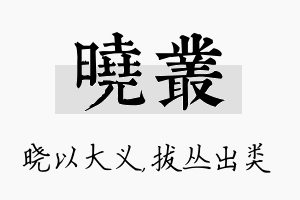 晓丛名字的寓意及含义