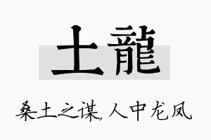 土龙名字的寓意及含义