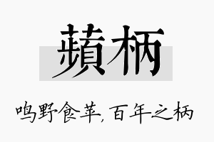 苹柄名字的寓意及含义