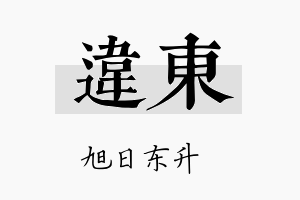 违东名字的寓意及含义