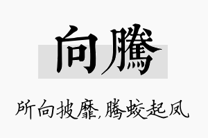 向腾名字的寓意及含义