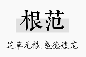 根范名字的寓意及含义