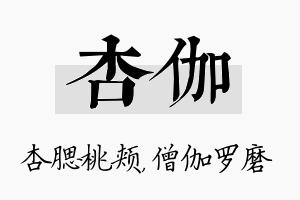 杏伽名字的寓意及含义