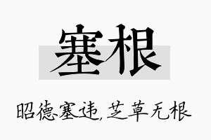 塞根名字的寓意及含义