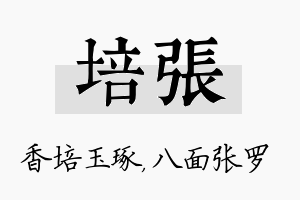 培张名字的寓意及含义