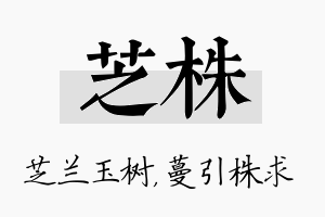 芝株名字的寓意及含义