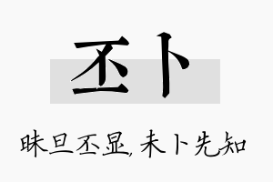 丕卜名字的寓意及含义