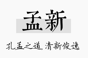 孟新名字的寓意及含义