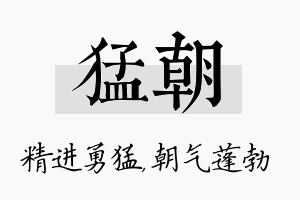 猛朝名字的寓意及含义