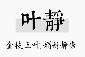 叶静名字的寓意及含义