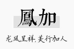 凤加名字的寓意及含义