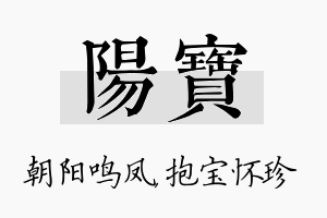 阳宝名字的寓意及含义