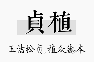 贞植名字的寓意及含义