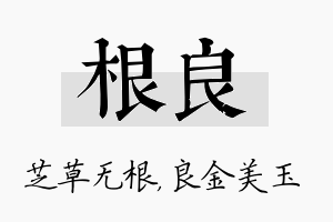 根良名字的寓意及含义