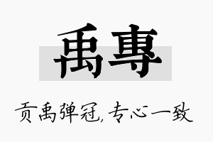 禹专名字的寓意及含义