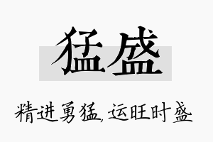 猛盛名字的寓意及含义