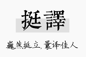 挺译名字的寓意及含义