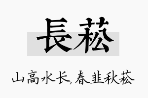 长菘名字的寓意及含义