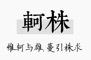 轲株名字的寓意及含义