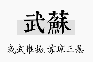 武苏名字的寓意及含义